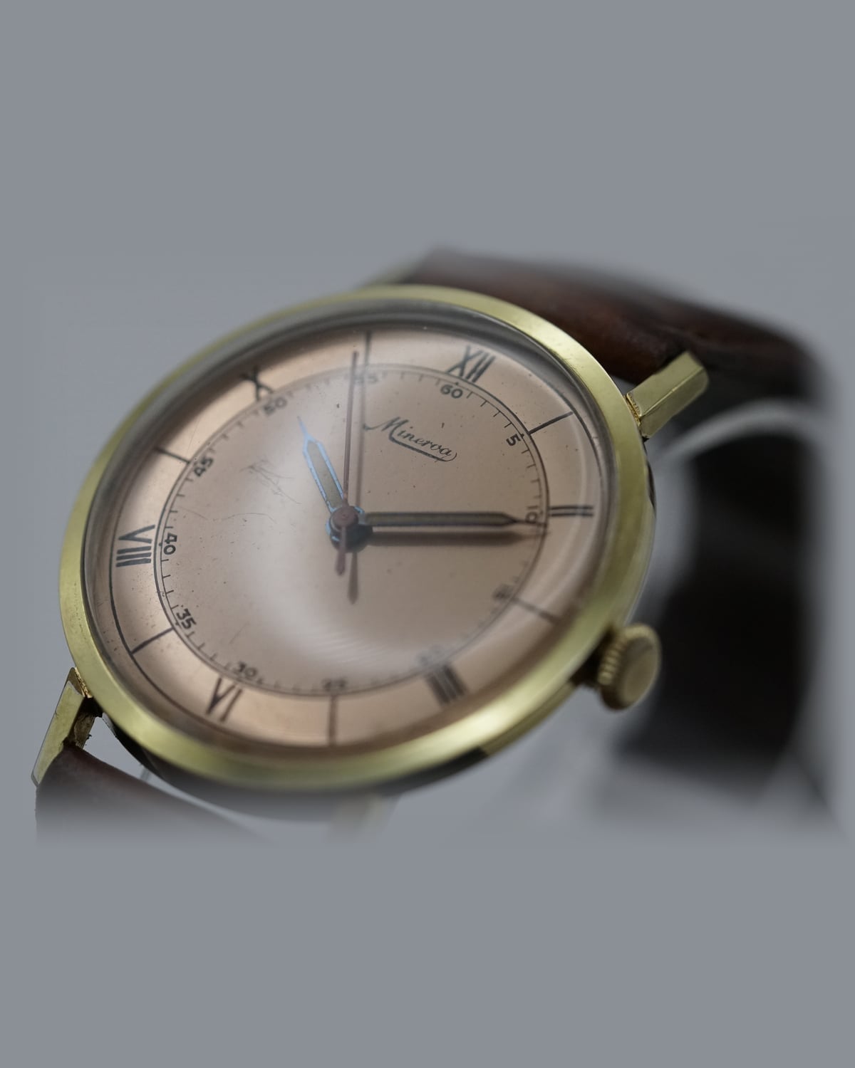 Minerva Sector Dial, 1940s: detail