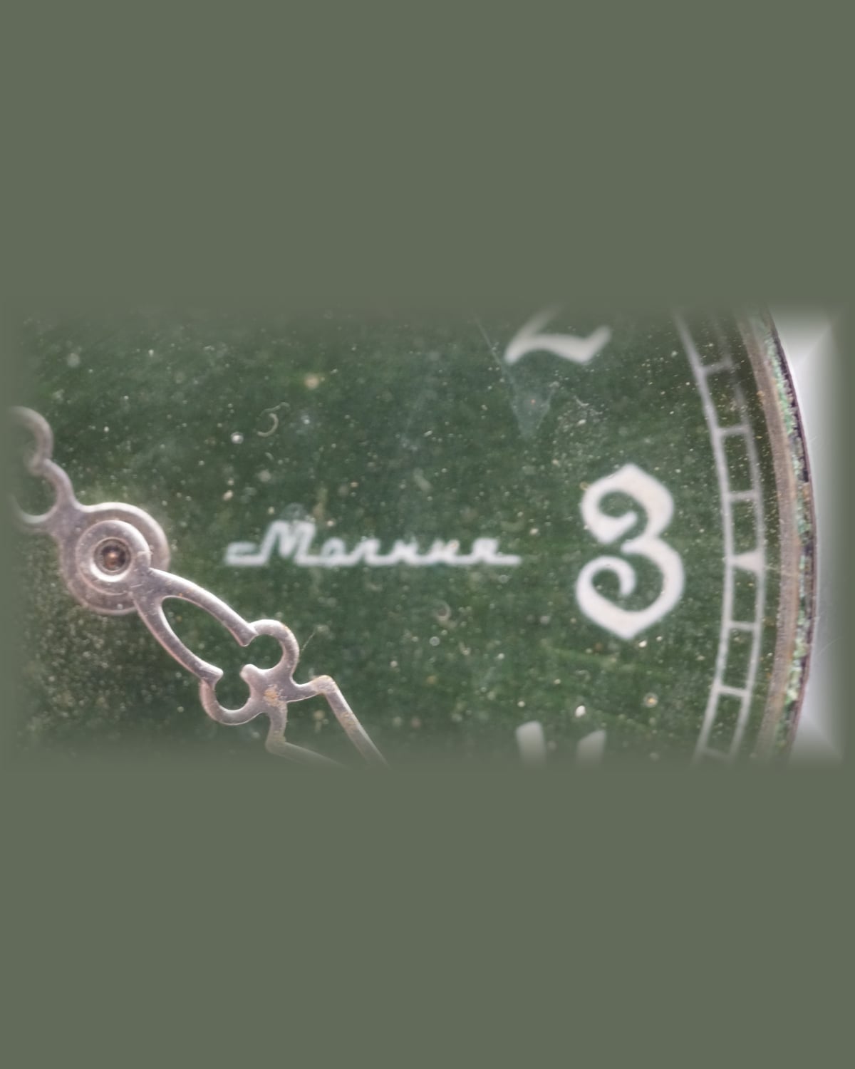 Molnija Hunter Case 3602, 1970s: detail